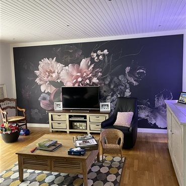 Travaux de peinture, traitement du bois, faux plafonds, isolation à St Affrique et Montlaur