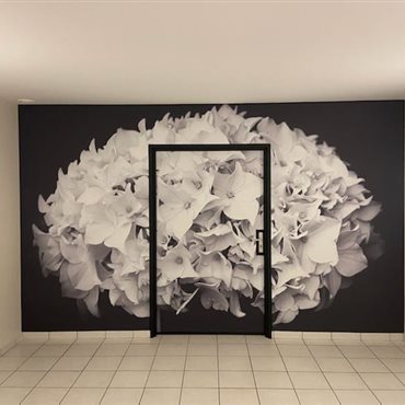 Travaux de peinture, traitement du bois, faux plafonds, isolation à St Affrique et Montlaur